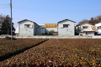 特殊浴場の文字